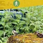 écologique Avec Vue Forêt&vallée Dordogne ! *
