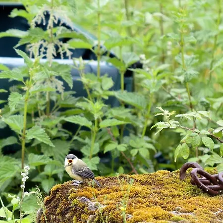 Ecological With A View Of Foret & Vallee Dordogne !