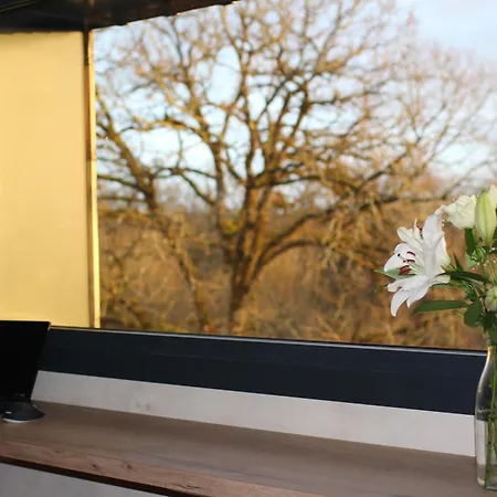 Ecological With A View Of Foret & Vallee Dordogne ! *