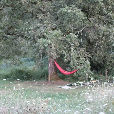 Ecological With A View Of Foret & Vallee Dordogne ! *