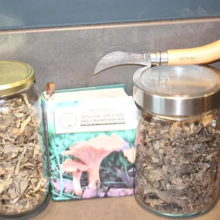 écologique Avec Vue Forêt&vallée Dordogne ! Hébergement de vacances *