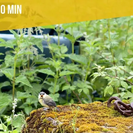 Ecologique Proche Rocamadour & Gouffre De Padirac Vue Vallee Dordogne * Bétaille
