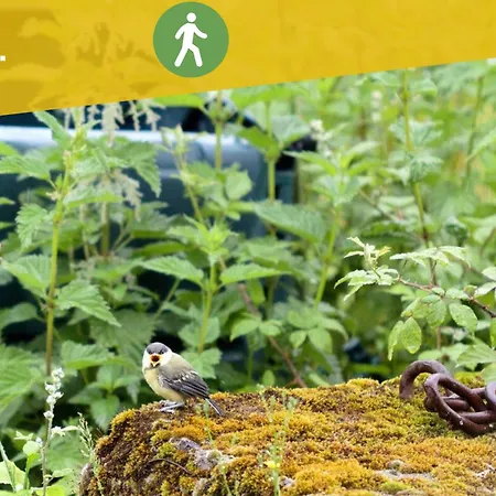 Ecologique Proche Rocamadour & Gouffre De Padirac Vue Vallee Dordogne *