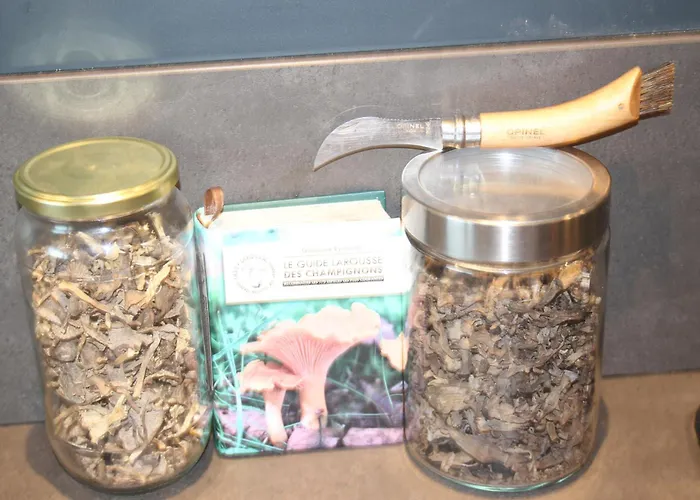 Ecologique Proche Rocamadour & Gouffre De Padirac Vue Vallee Dordogne Tatil Evi *