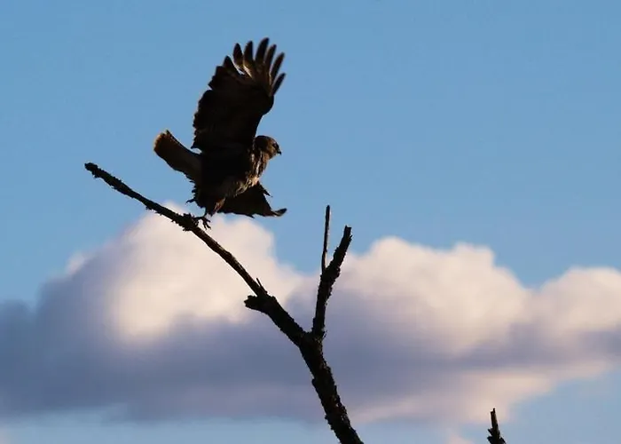 Tatil Evi Ecologique Proche Rocamadour & Gouffre De Padirac Vue Vallee Dordogne