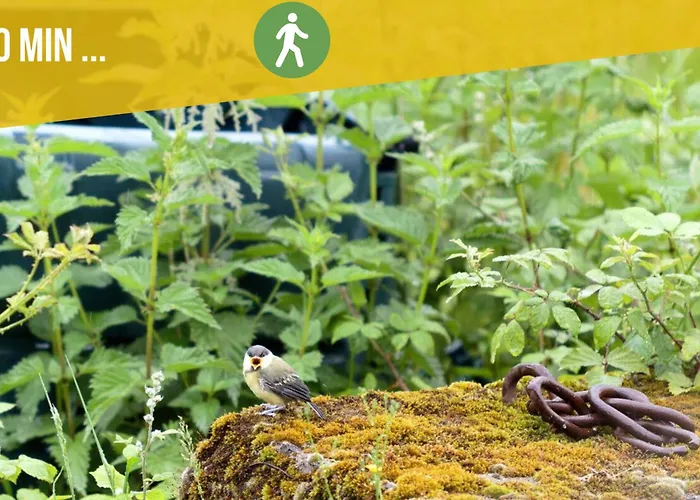 Ecologique Proche Rocamadour & Gouffre De Padirac Vue Vallee Dordogne *